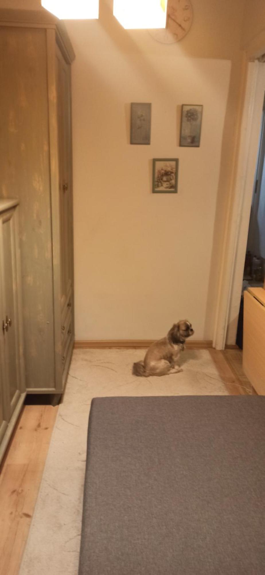 Cichy Zakatek Kolobrzeg Apartment Luaran gambar